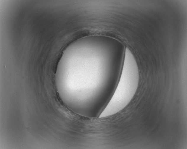 X0000083051153200702021003