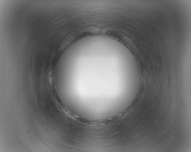 X0000083051154200702021003