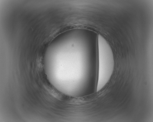 X0000083051156200702021003