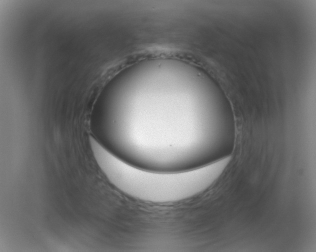 X0000083051157200702021003