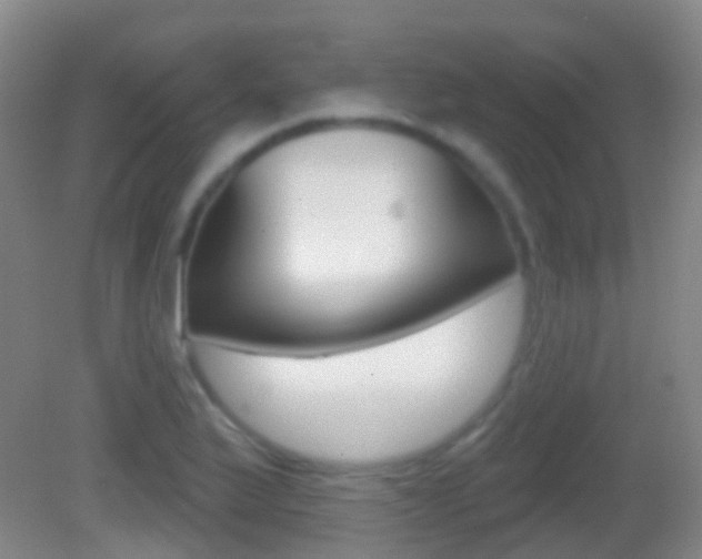 X0000083051175200702021002