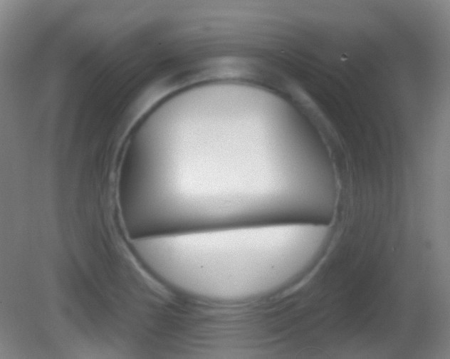 X0000083051178200702021002