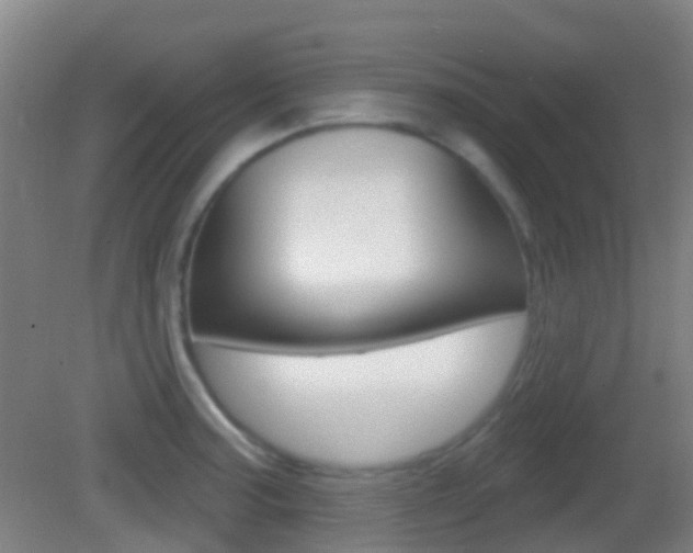 X0000083051187200702021002