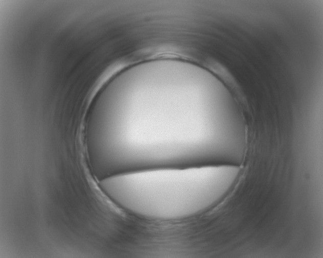 X0000083051190200702021002