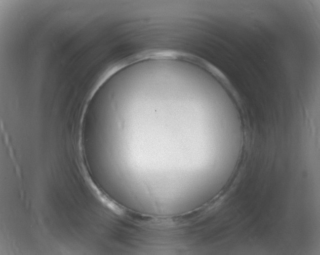 X0000083051194200702021002