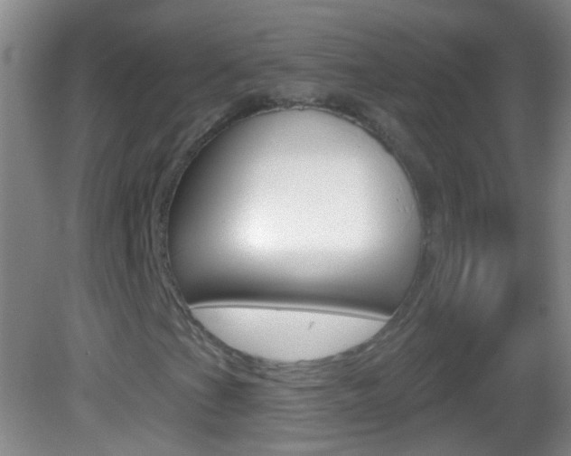 X0000083051201200702021001