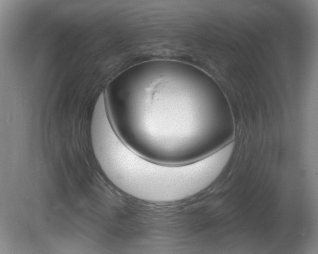 X0000083051202200702021001