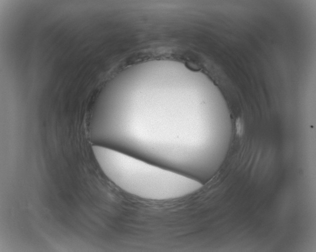 X0000083051203200702021001