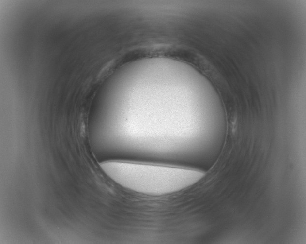 X0000083051204200702021001