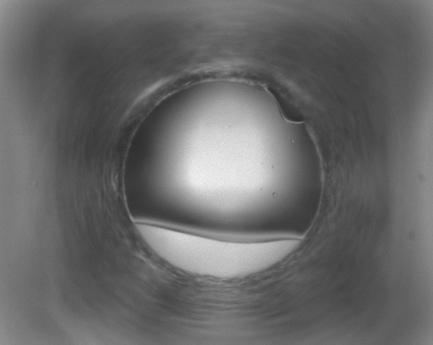 X0000083051206200702021001