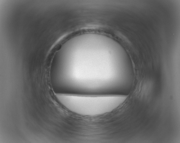 X0000083051208200702021001