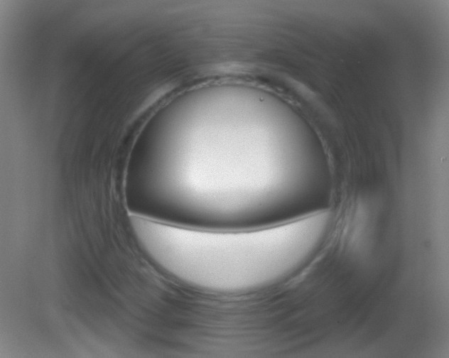 X0000083051209200702021001