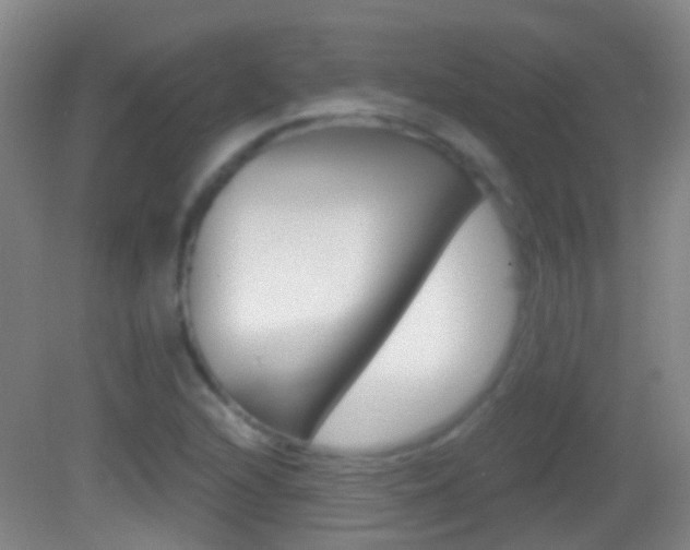 X0000083051216200702021001
