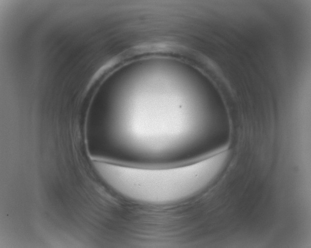 X0000083051218200702021001
