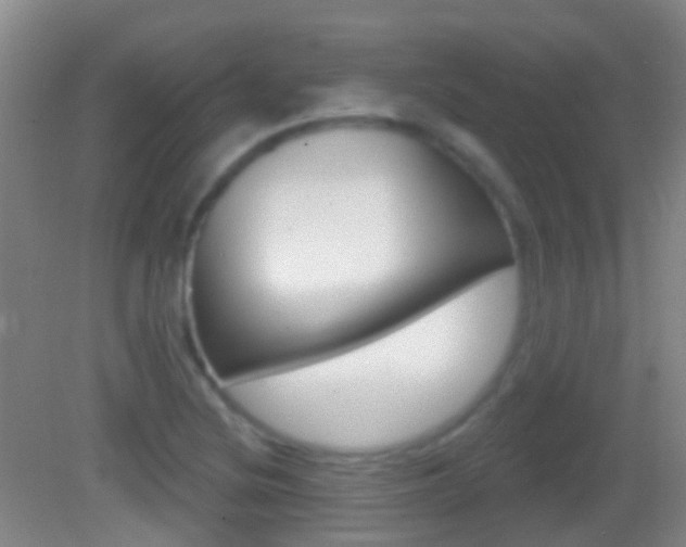 X0000083051220200702021001