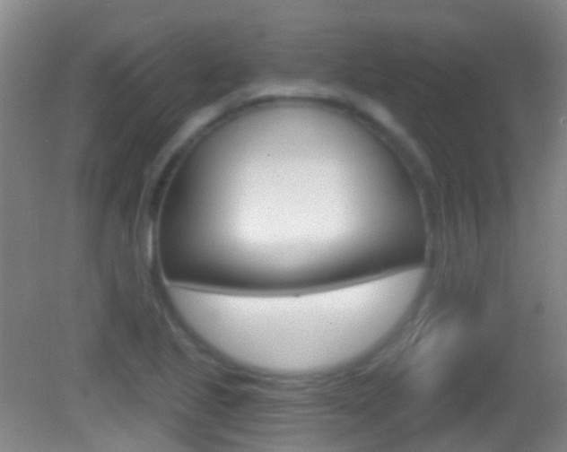 X0000083051221200702021001