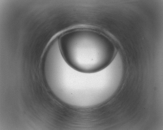 X0000083051222200702021001