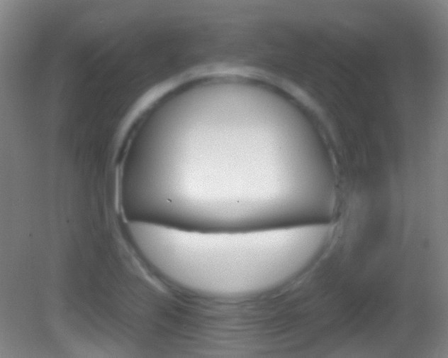X0000083051223200702021001