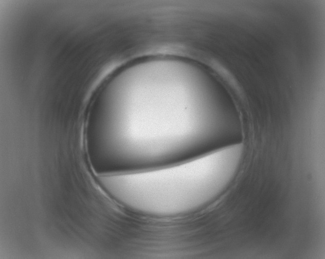 X0000083051224200702021001