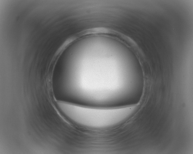 X0000083051225200702021001