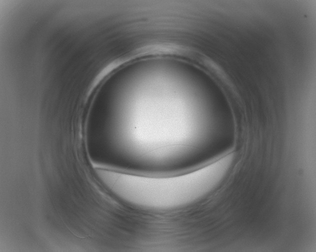 X0000083051226200702021001