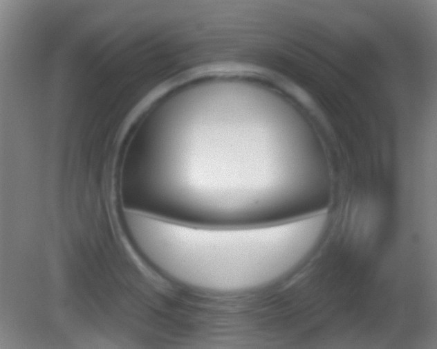 X0000083051229200702021002