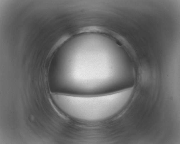 X0000083051233200702021002