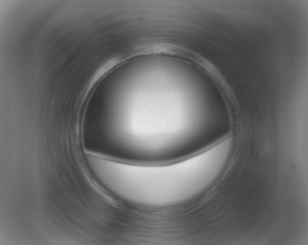 X0000083051234200702021002