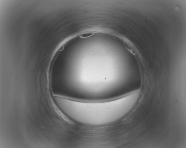 X0000083051238200702021002
