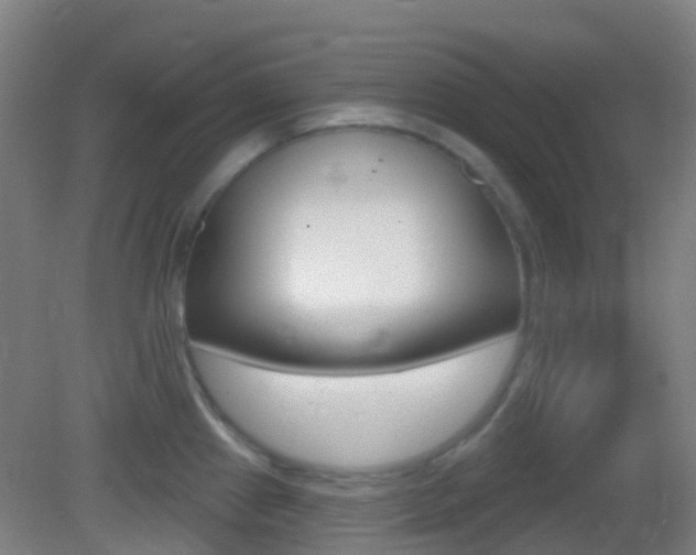 X0000083051241200702021002