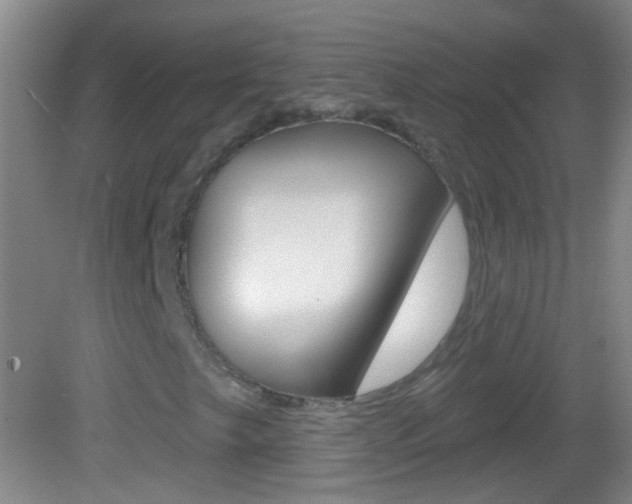 X0000083051249200702021001