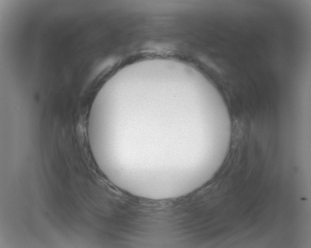 X0000083051254200702021001