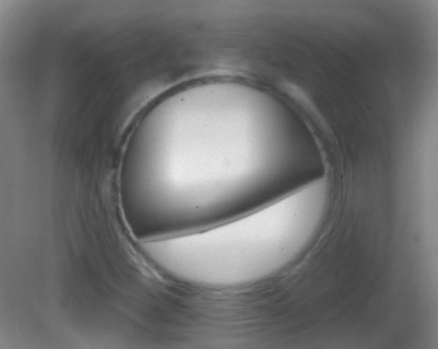 X0000083051260200702021001