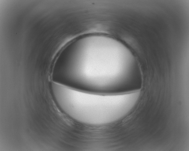 X0000083051268200702021001