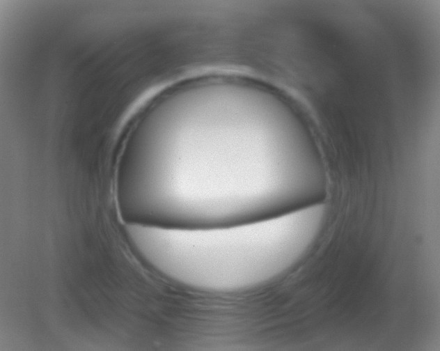 X0000083051271200702021001