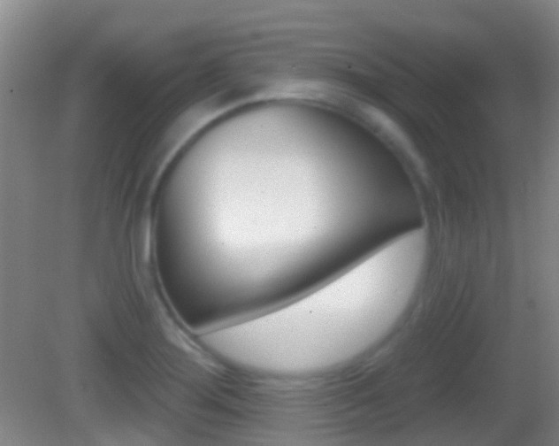 X0000083051276200702021001