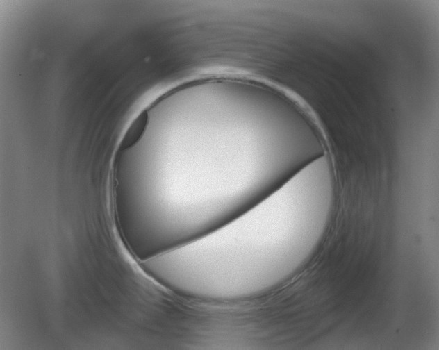 X0000083051295200702021000