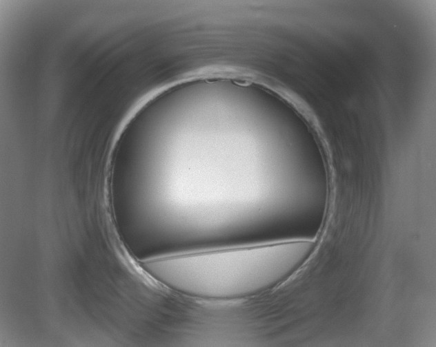 X0000083051296200702021000