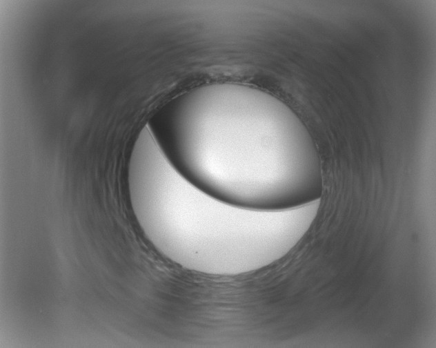 X0000083051297200702020959