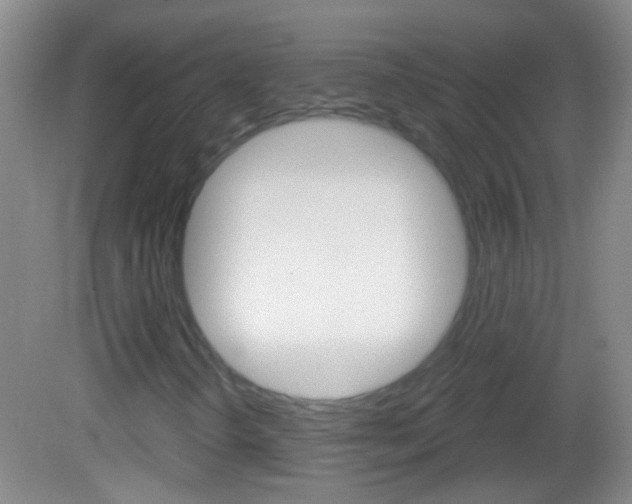 X0000083051298200702020959