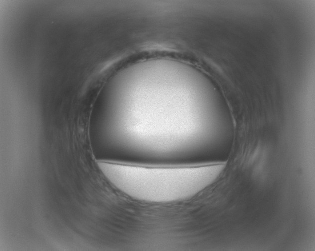 X0000083051303200702021000