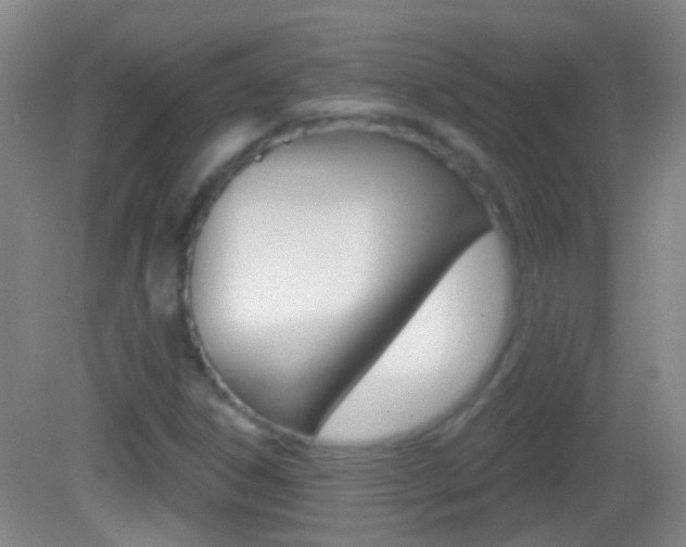 X0000083051306200702021000