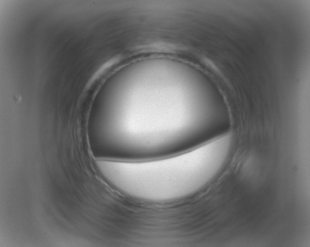 X0000083051307200702021000