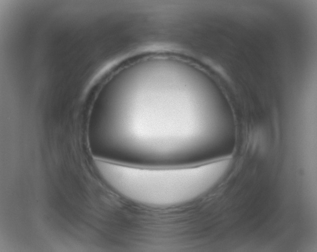 X0000083051311200702021000