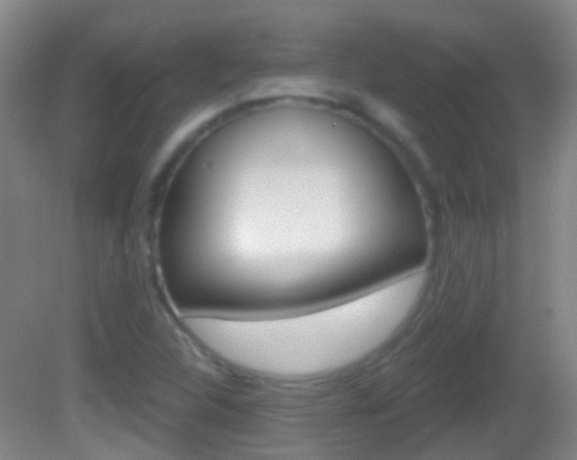 X0000083051312200702021000