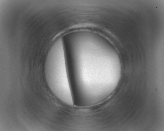 X0000083051313200702021000