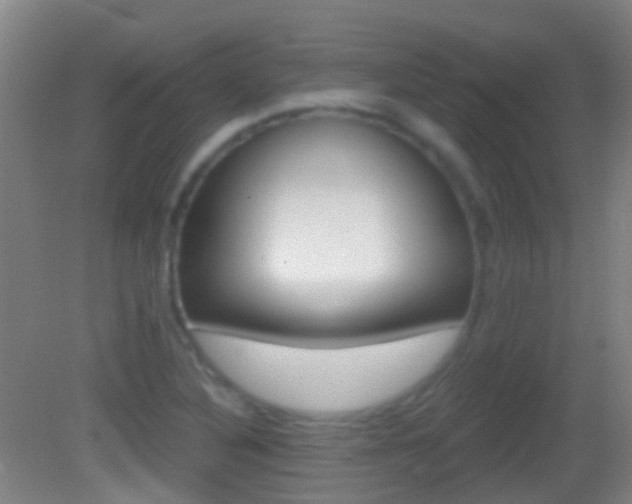 X0000083051316200702021000