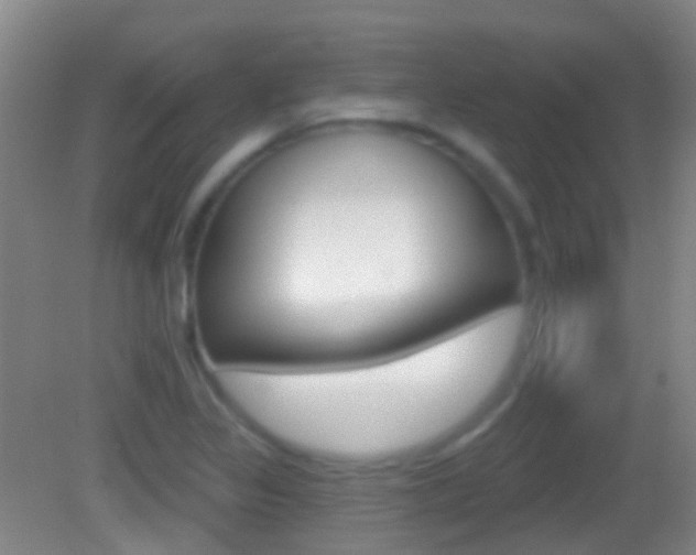X0000083051317200702021000