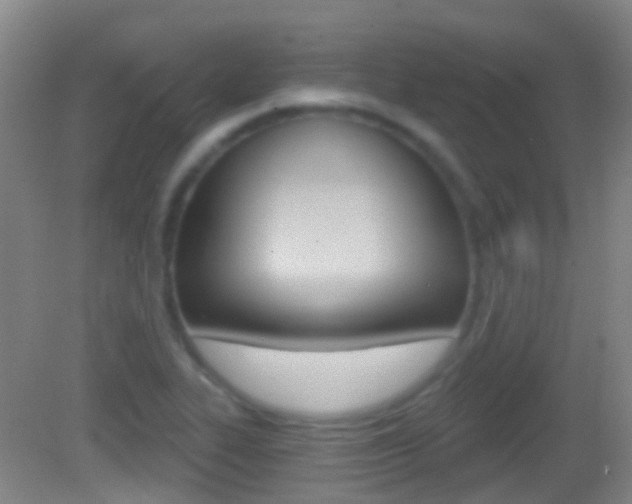 X0000083051319200702021000
