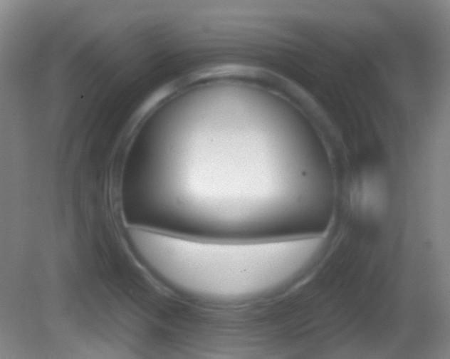 X0000083051321200702021000